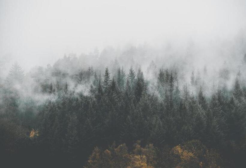 Люкс Кровать Кинг, Nouri