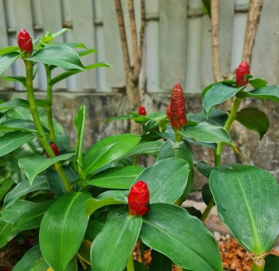 וילה בת חדר שינה 1, Momento Bangtao Beach