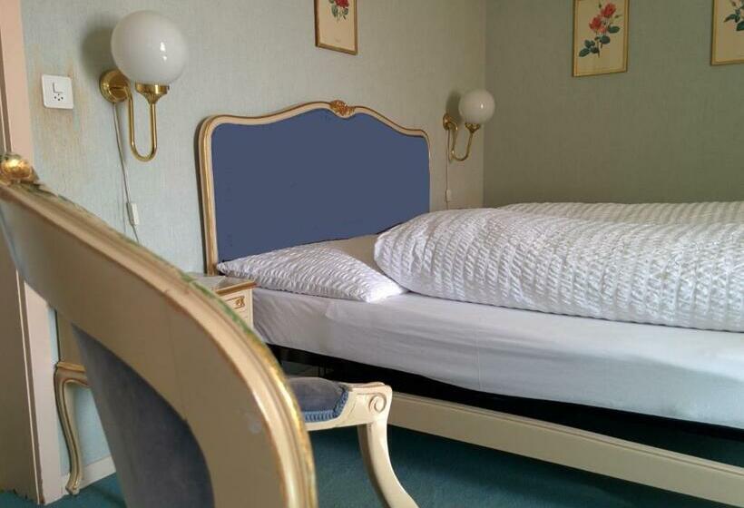 Standart Tek Kişilik Oda, Croix D Or Et Poste   Historisches