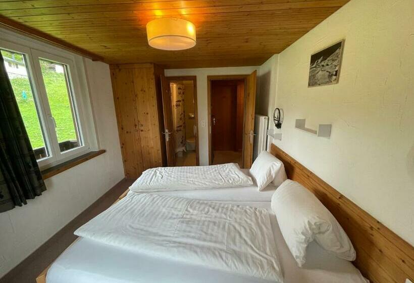 带阳台的三人标准间, Erzhorn