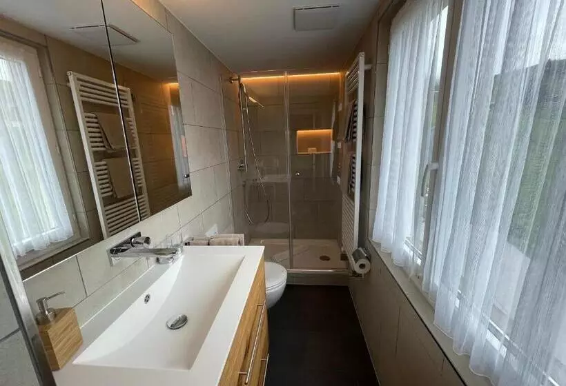 Standard Room, Erzhorn