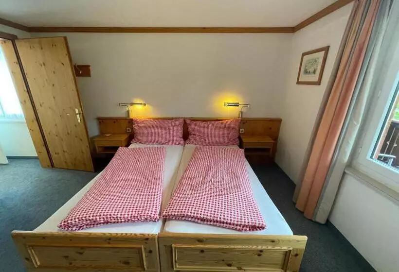 Standard Room, Erzhorn