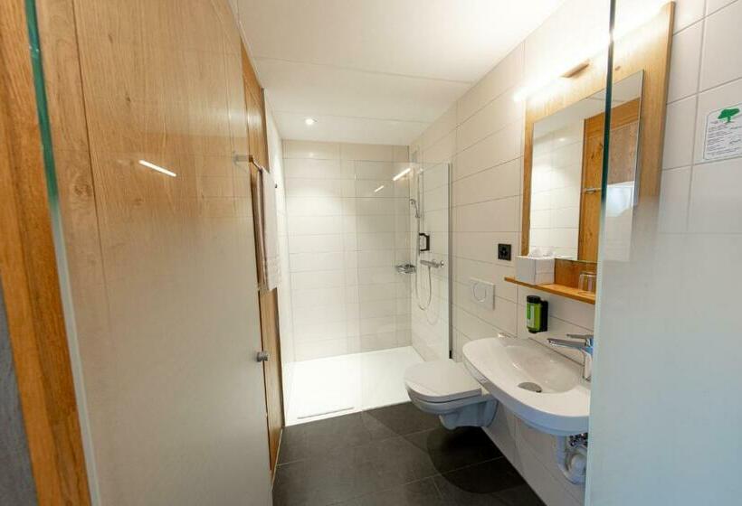 Номер Стандарт Индивидуальный с Балконом, Frauenfeld