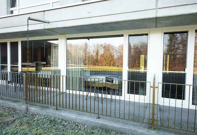 Номер Стандарт Индивидуальный с Балконом, Frauenfeld