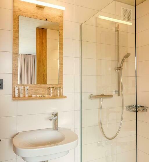 Номер Стандарт Индивидуальный с Балконом, Frauenfeld