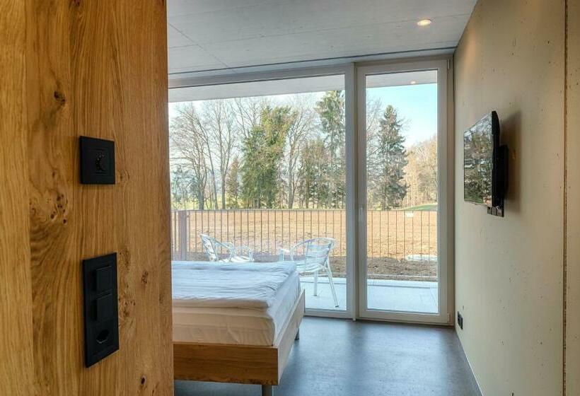 Номер Стандарт Индивидуальный с Балконом, Frauenfeld