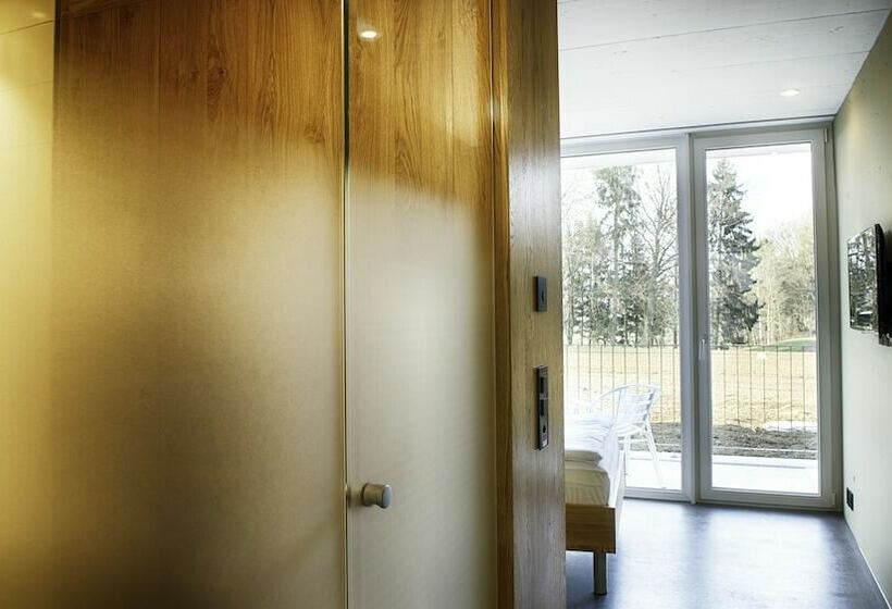 Номер Комфорт Индивидуальный, Frauenfeld