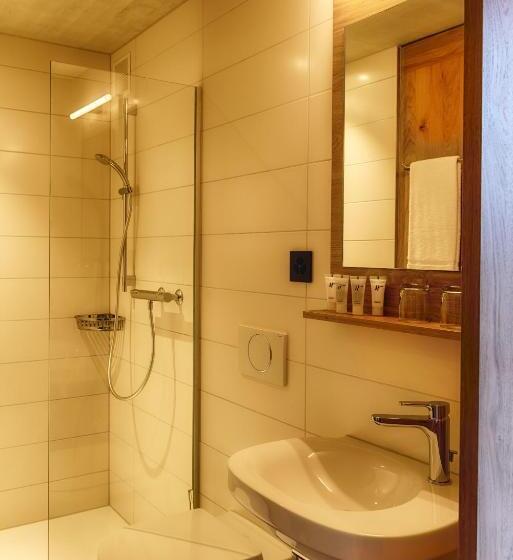 Номер Стандарт с Балконом, Frauenfeld