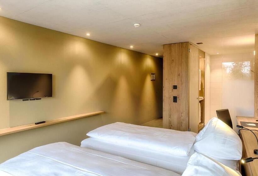 Номер Стандарт с Балконом, Frauenfeld