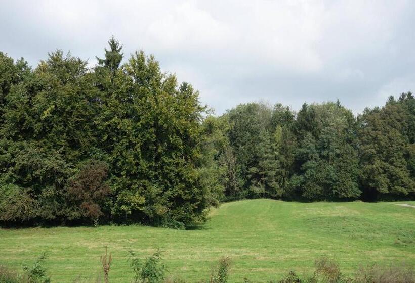 Семейный Номер, Frauenfeld