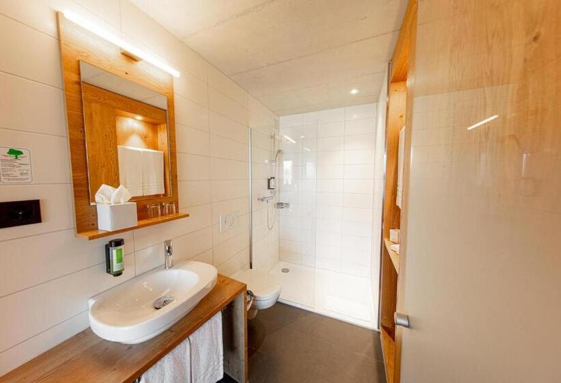 Номер Стандарт с Балконом, Frauenfeld