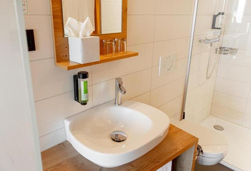 Номер Стандарт с Балконом, Frauenfeld