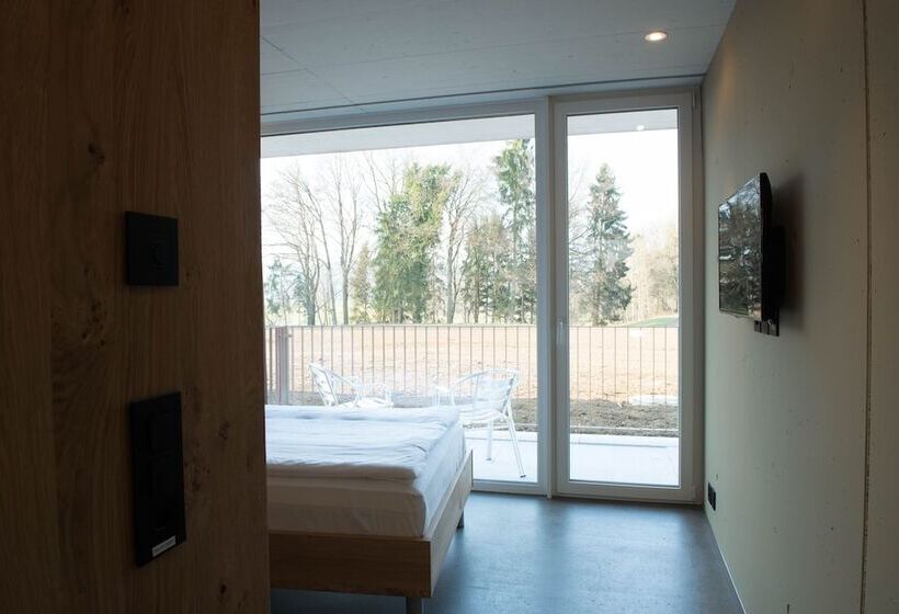 Номер Комфорт Индивидуальный, Frauenfeld