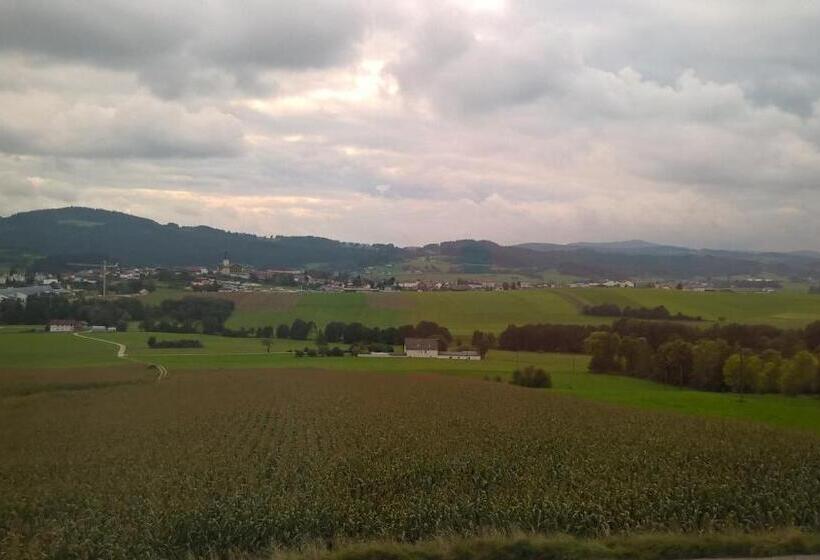 חדר סטנדרט, Landhotel Sonnenhof Motorradkrauk