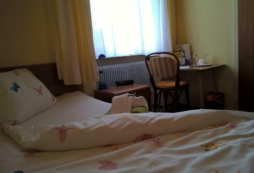 חדר סטנדרט יחיד, Landhotel Sonnenhof Motorradkrauk