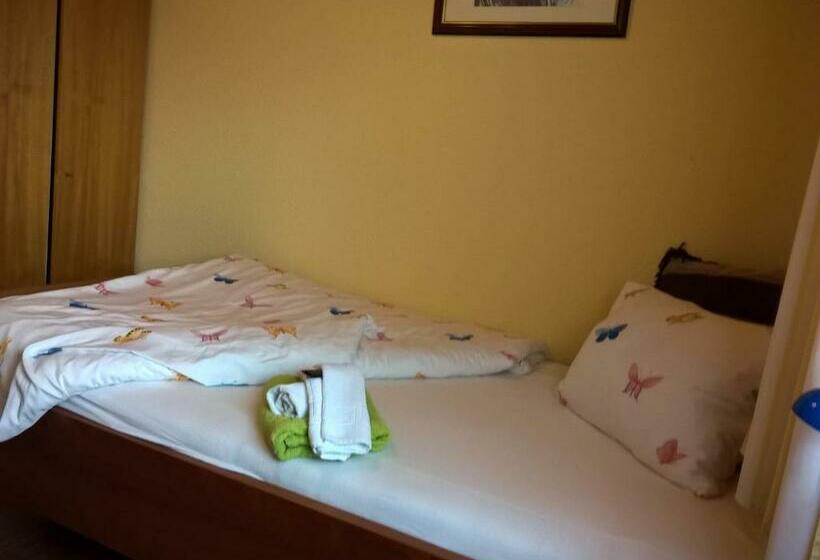 חדר סטנדרט יחיד, Landhotel Sonnenhof Motorradkrauk