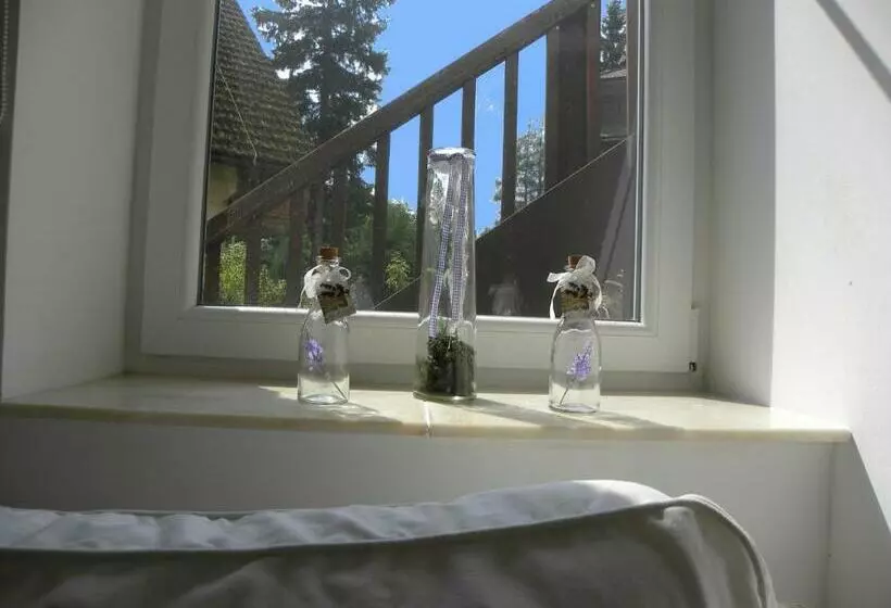 Suite con Balcón, Landhaus Semmering