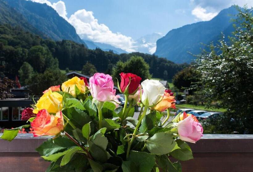 Номер Стандартный с Видом, Jungfrau Hotel Annex Alpine Inn