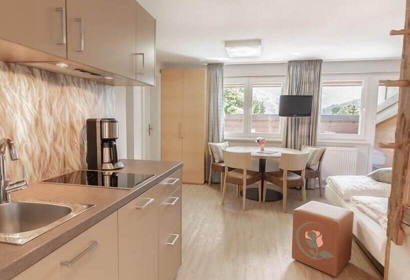 带1个卧室的高级公寓, Rosentalerhof Hotel & Appartements