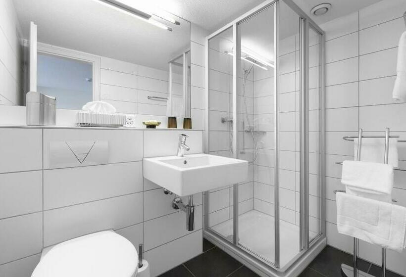 חדר סטנדרט נוף לאגם, Seehotel Baumgarten