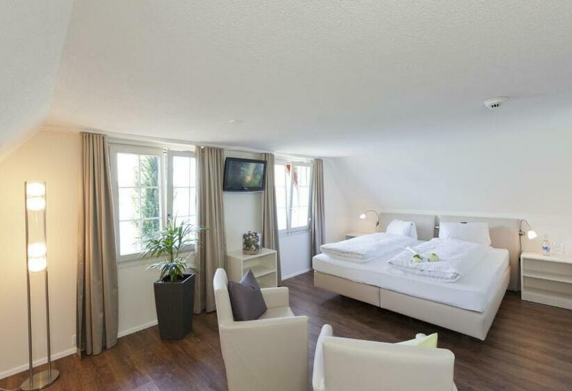 חדר סטנדרט נוף לאגם, Seehotel Baumgarten