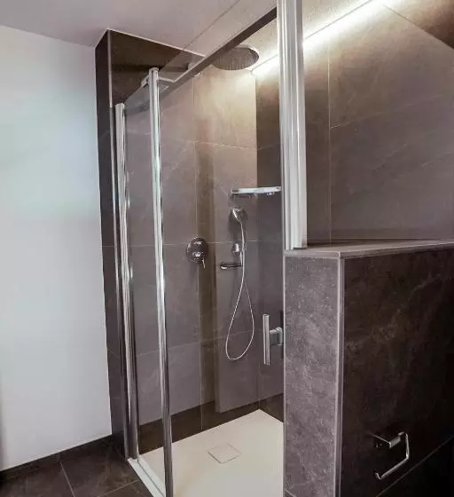 Standard Studio, Seehotel Baumgarten