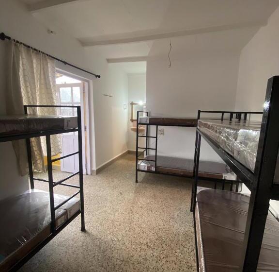 Lit en Chambre Commune, Tropical Bay