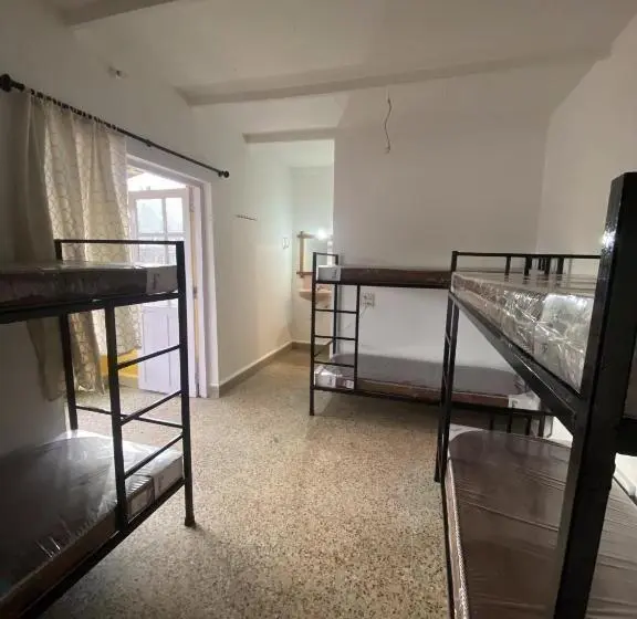 Letto in Camera Condivisa, Tropical Bay