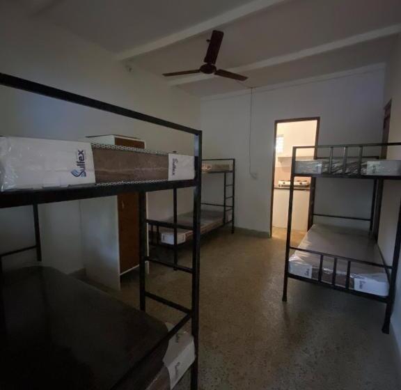 Lit en Chambre Commune, Tropical Bay