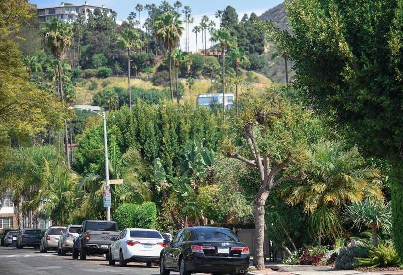 استودیو استاندارد با چشم‌انداز باغ, Hollywood Guesthouse