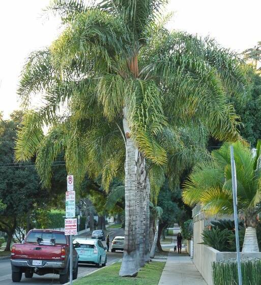 استودیوی استاندارد, Hollywood Guesthouse