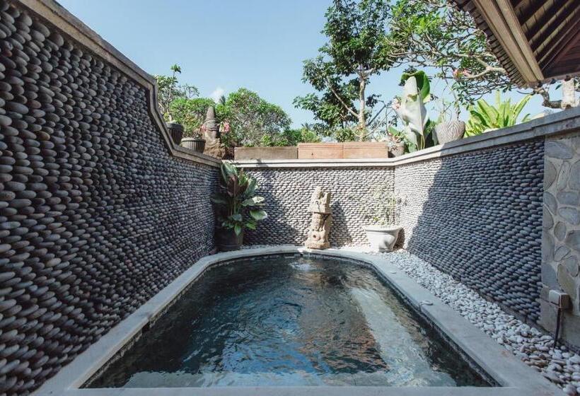 جناح سرير كينج, Kishi Kishi Artvilla