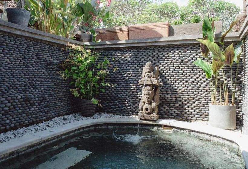 جناح سرير كينج, Kishi Kishi Artvilla