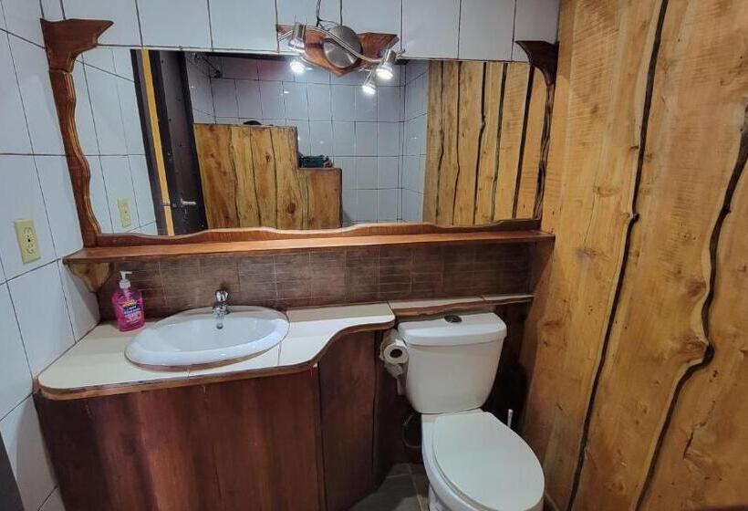 غرفة قياسية, Poas Volcano & La Paz Waterfall Cabins