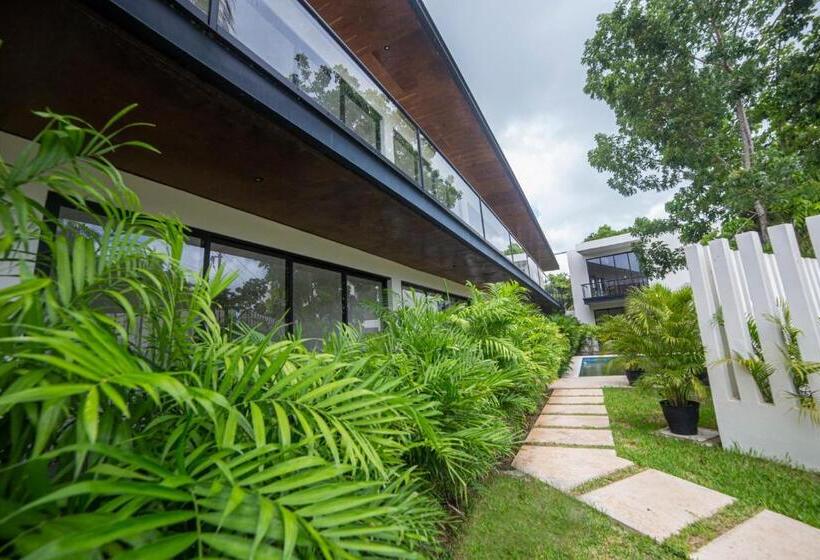 آپارتمان 1 خوابه با چشم‌انداز استخر, Deluxe Apartments Azure