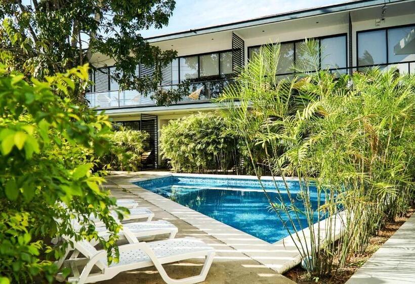 آپارتمان 1 خوابه با چشم‌انداز استخر, Deluxe Apartments Azure