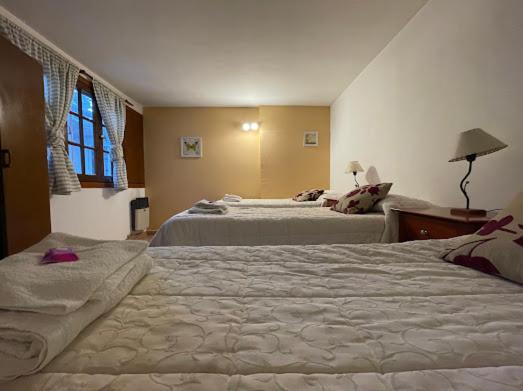 شقة غرفة واحدة, Pintó Terraza