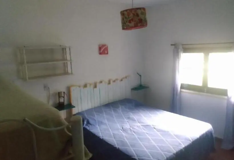 Standard Neljän Hengen Huone, Jaracanda Hostel San Marcos