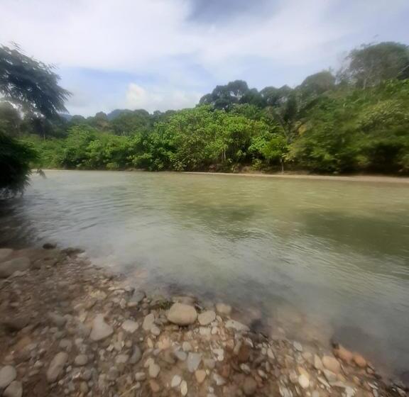 Номер Стандарт Вид на Горы, Barus Jungle View