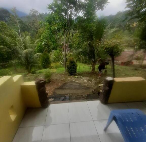 Номер Стандарт, Barus Jungle View