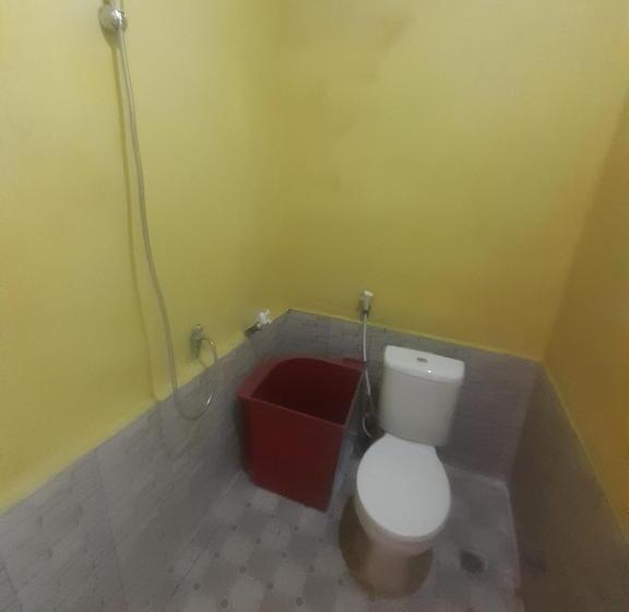 Номер Стандарт, Barus Jungle View