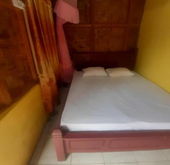 Номер Стандарт, Barus Jungle View