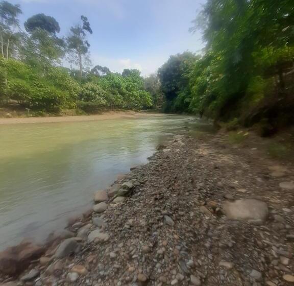 Номер Стандарт Вид на Горы, Barus Jungle View