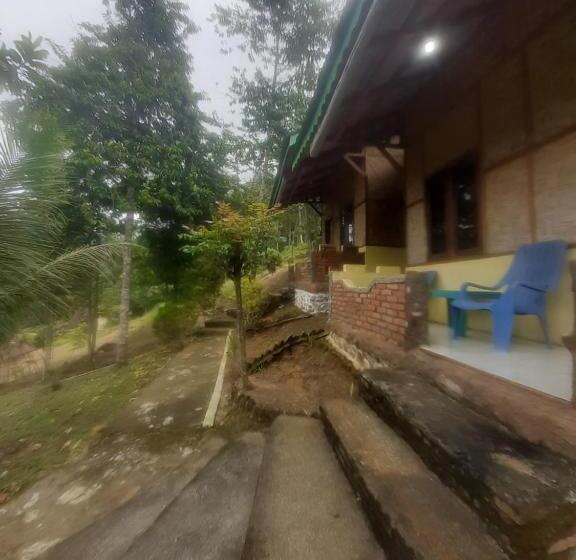 Номер Стандарт, Barus Jungle View