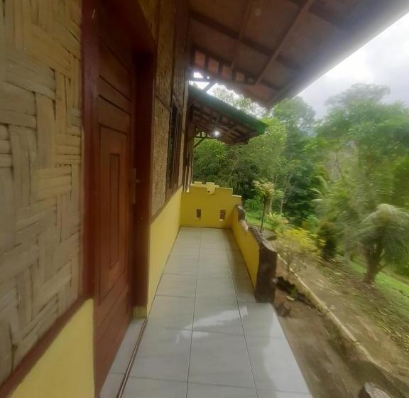 Номер Стандарт, Barus Jungle View