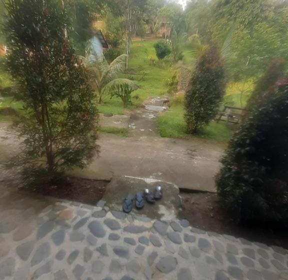 Номер Стандарт, Barus Jungle View