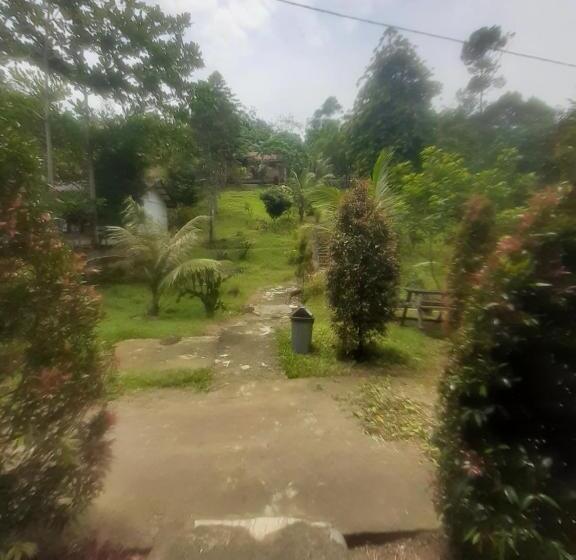 Номер Стандарт, Barus Jungle View