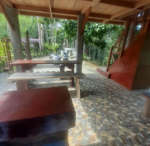 Номер Стандарт, Barus Jungle View