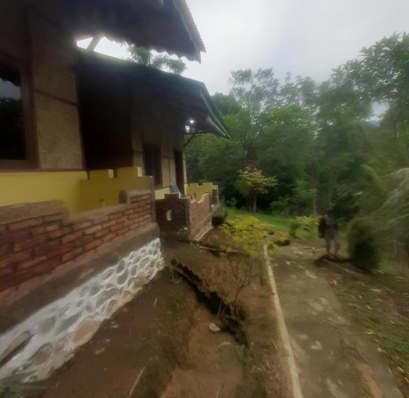 Номер Стандарт, Barus Jungle View