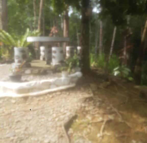 Номер Стандарт Вид на Горы, Barus Jungle View